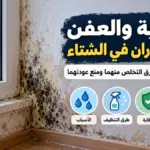 الرطوبة والعفن على الجدران