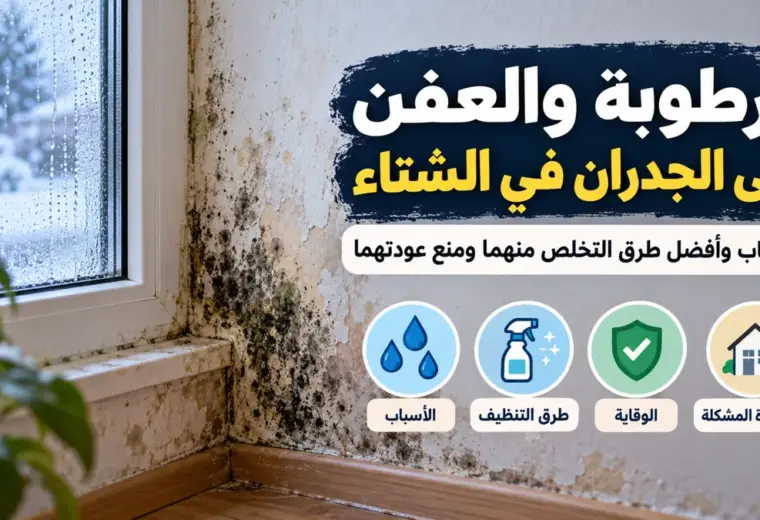 الرطوبة والعفن على الجدران