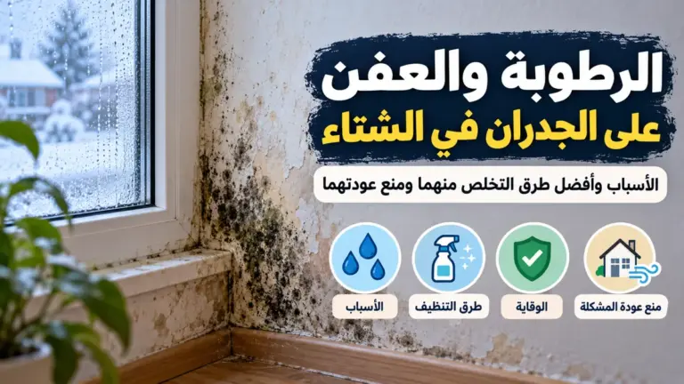 الرطوبة والعفن على الجدران
